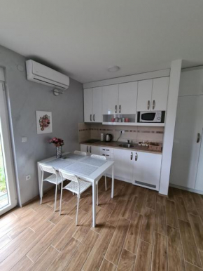 APARTMANI DJERISILO